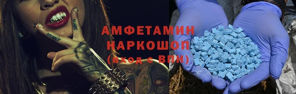 шишки Аркадак