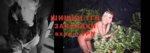 гашик Арсеньев