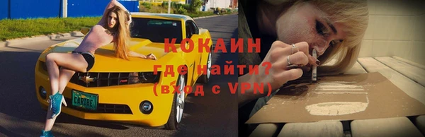 гашик Арсеньев