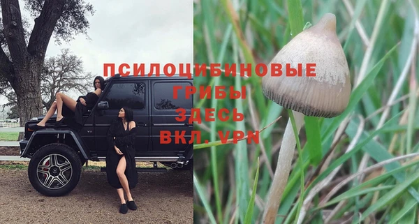 прущая мука Армянск