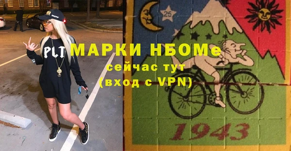 шишки Аркадак