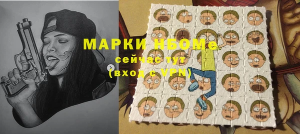 шишки Аркадак