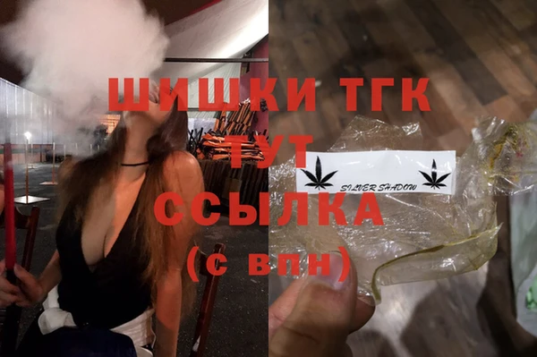 шишки Аркадак