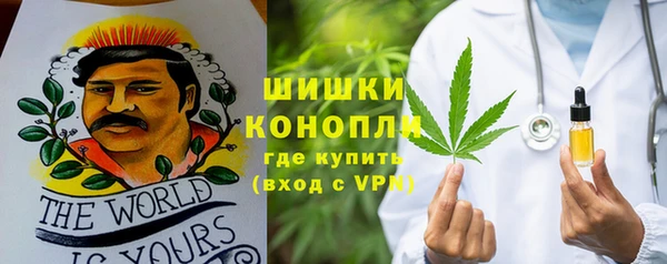 шишки Аркадак