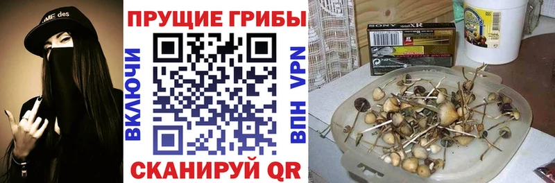 Псилоцибиновые грибы мухоморы закладка Фатеж